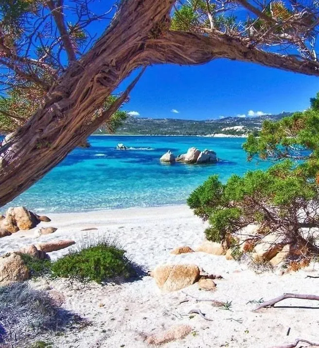 Villa Ocean Pearl Olbia 0*,