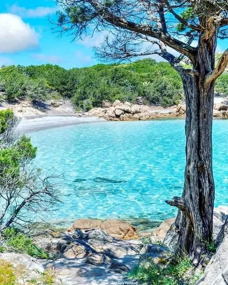 Villa Ocean Pearl Olbia Italien
